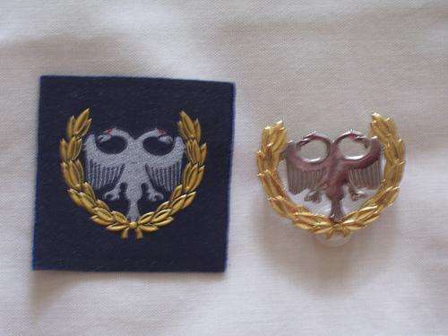 SAAF MUSTERING BADGES - SECURITY