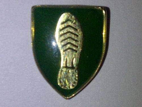 Basic Tracker Qualification Badge - Mess Dress