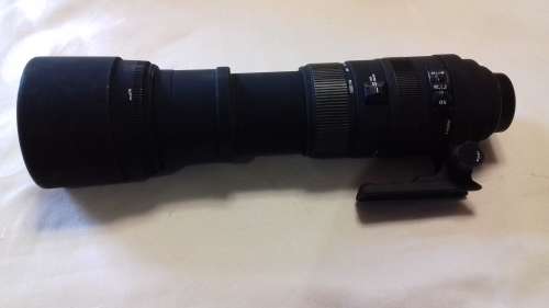 Sigma 150-500mm F5-6.3 DG APO HSM Telephoto Lens