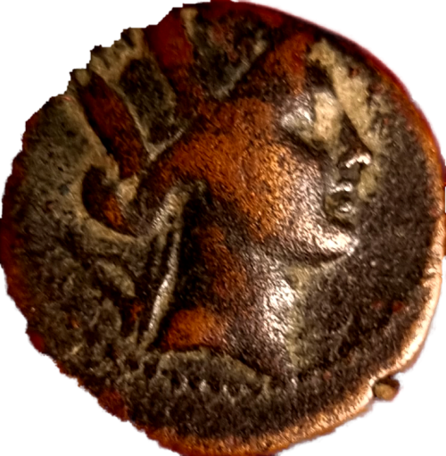 2X Ancient Greek Coins | City of Apameia (Different magistrate)