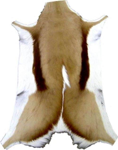 Springbok Trophy Skin