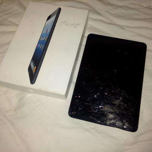 Apple iPad Mini **Late Entry**