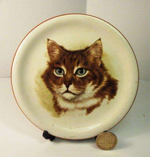 Small Plate with CAT on it! Stand not included.