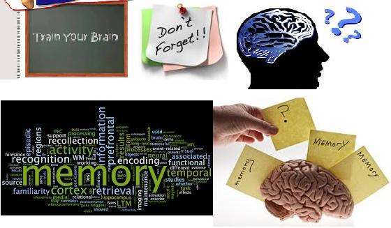 ***XMAS SPECIAL OFFER***IMPROVE MEMORY & EXAM RESULTS-MEGA MEMORY***7 CD'S AUDIO PACK*BID PER ITEM*