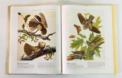 John James Audubon: American Birds. Hardcover  1999