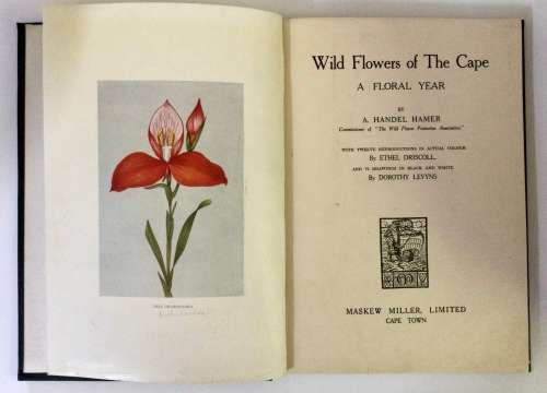 Wild Flowers of the Cape - A Handel Hamer. Hardcover, undated.