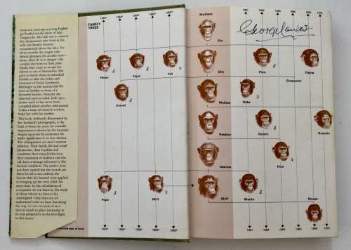 In the Shadow of Man - Jane van Lawick-Goodalll. Hardcover w/dj. 1st Ed, 1971