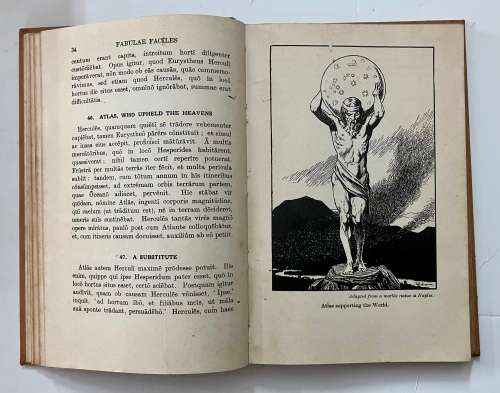 Learning Latin Starter Pack - 3-book bundle