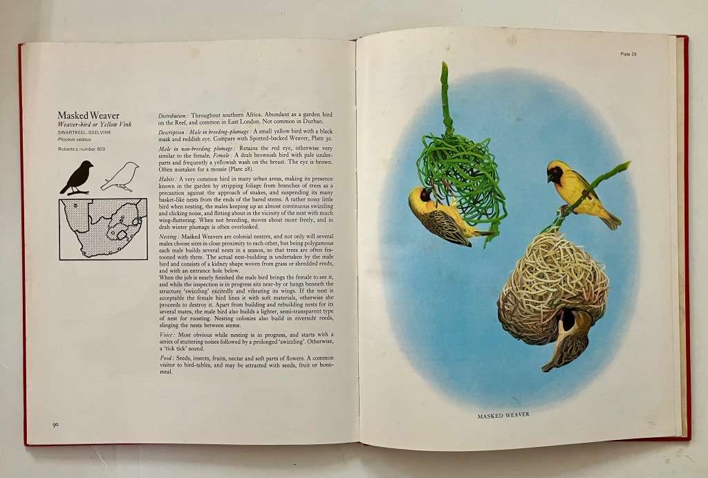 Garden Birds of South Africa - Kenneth Newman. Hardcover no dj, 1st Ed. 1967