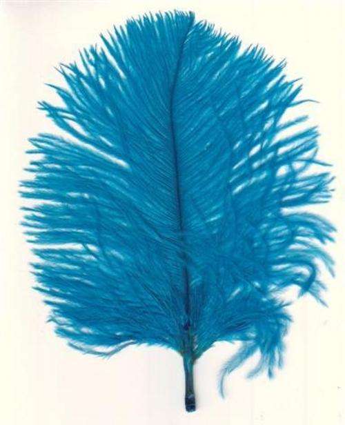 Pack of 120mm x 70mm TURQUOISE Ostrich Feathers (5 Feathers per Pack)