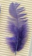 Pack of PURPLE Craft Feathers - Sold in Pack of 10 Feathers