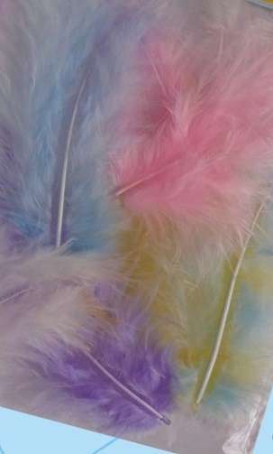 Bag of Assorted Pastel coloured Craft Feathers (Minimum 10 Pieces)