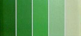 SCRAPBOOK Card Stock Pack, SHADES OF GREEN, 5 Sheets, 30cmx30cm