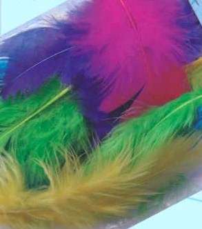 Craft Feathers, Assorted Bright Colours (Minimum 10 Pieces per Pack)