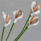 13mm x 100mm White Calla Lily Paper Flower (Sold in Pack of 5 Flowers)