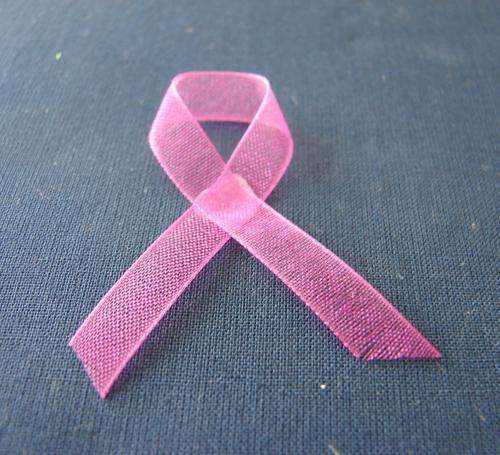 6mm Wide Cerise Pink Organza Ribbon (Sold by the Meter)