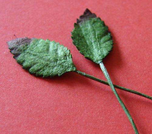 15mm x 10mm Green Paper Leaves (Sold in Pack of 10 Leaves)