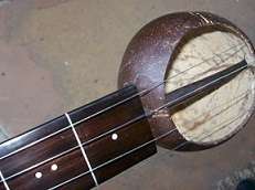 AFRICAN 'BANJO'