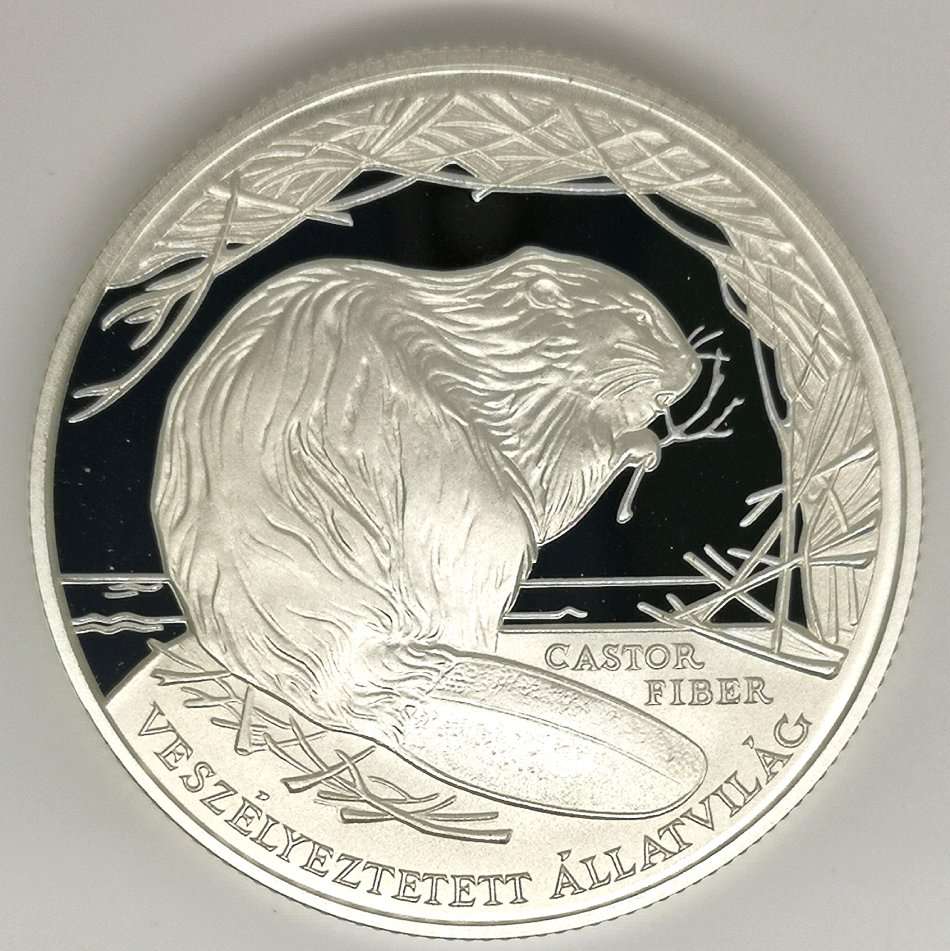 2000 | Endangered Wildlife | The European Beaver | Crown Size | 1oz Proof Silver (925) | R1 Start NR
