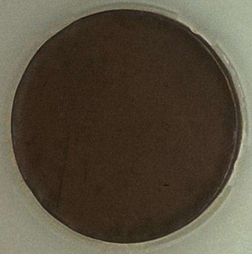 <$> GRADED COIN SALE <$>RARE $$ Half Penny BLANK Genuine  ** Start @ R1 **