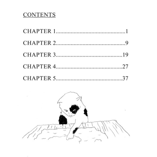 The Adventures of Pete the Pirate - LLATL RED set reader