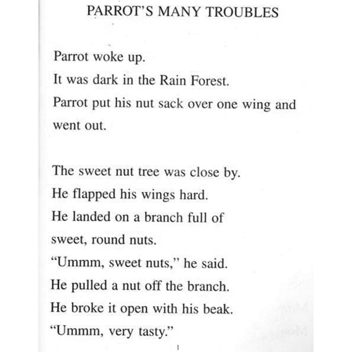 Up, Down, and Around the Rain Tree - LLATL RED set reader