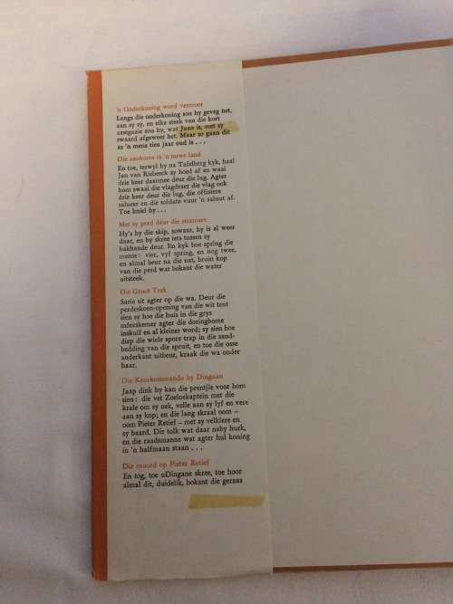 My eerste groot boek oor ons land - Santie Grosskopf