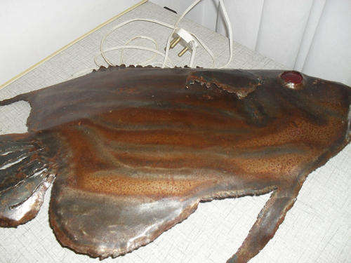 Unusual wall fish Lamp