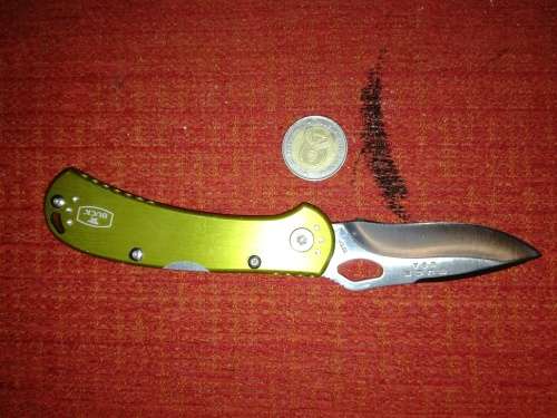 Buck Spitfire folder