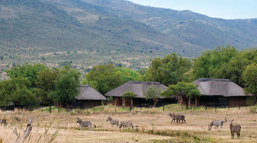 Bakubung Bush Lodge (Sun City) 29 April 2024 - 03 May 2024