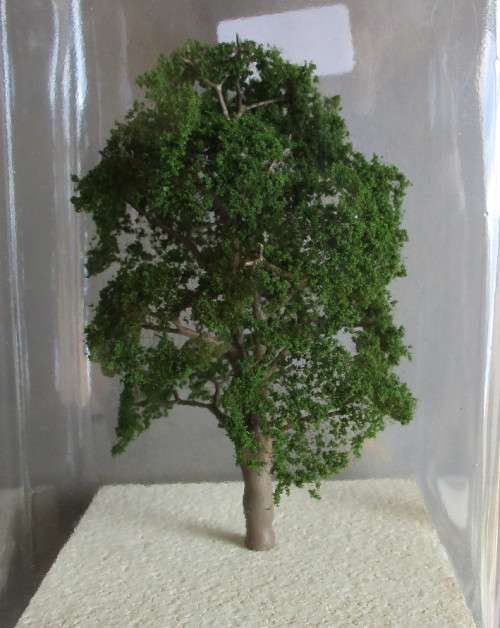 MSP - BLUEGUM TREE, 75MM - NEW CARDED