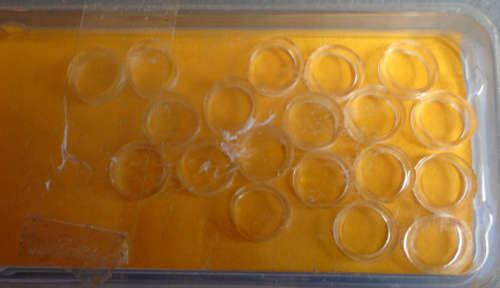 CALUMET TRAINS HO SCALE - 19 X TRACTION TYRES FOR DIESEL LOCOS - CARDED