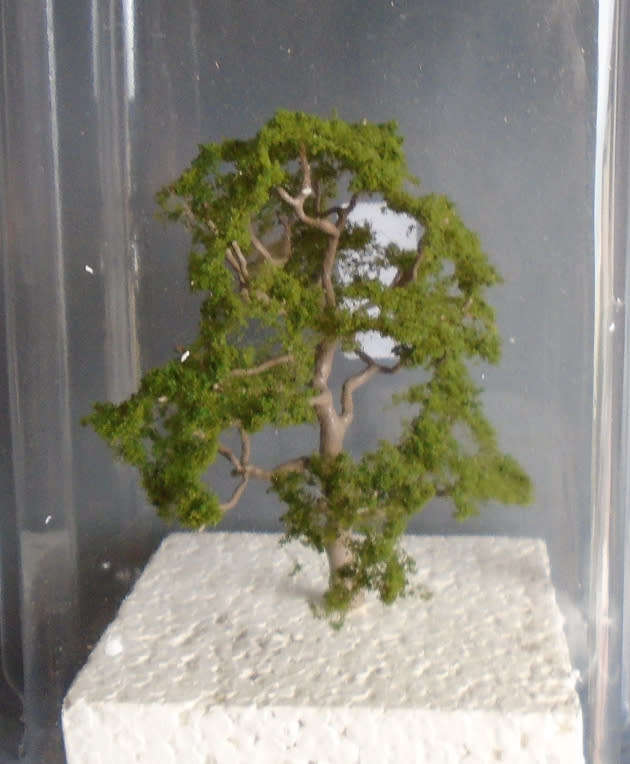 MSP ALL SCALES - 100mm OAK TREES, NEW CARDED