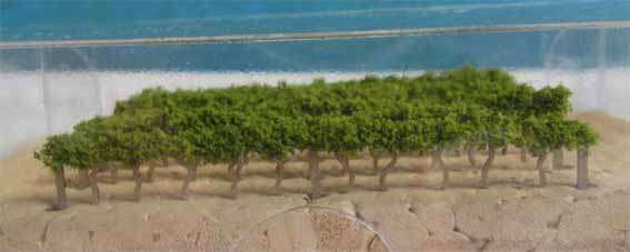 MSP - VINEYARD in HO SCALE (MADE IN RSA)