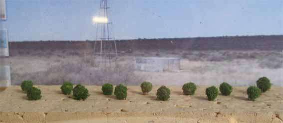 MSP - 13 X SHRUBS, SMALL 5mm in Z,N,HO SCALE (MADE IN RSA)