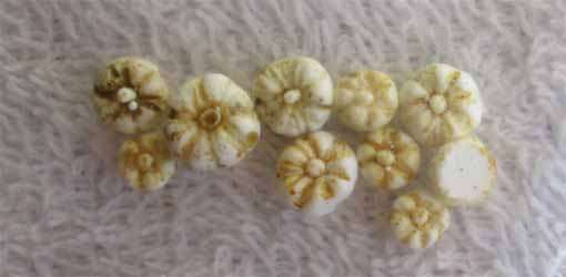 10 X PUMPKINS in HO SCALE