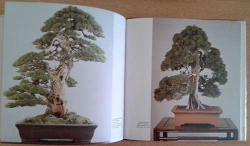 Bonsai - The Complete Guide to Art & Technique