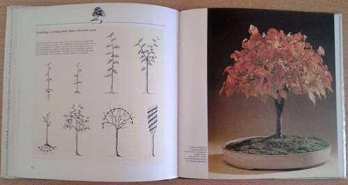 Bonsai - The Complete Guide to Art & Technique