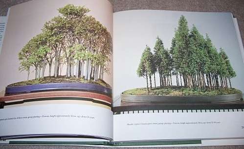 Bonsai - The Complete Guide to Art & Technique