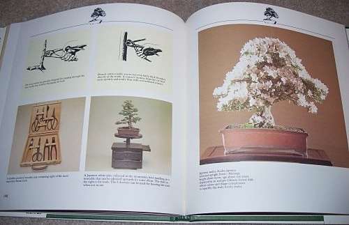 Bonsai - The Complete Guide to Art & Technique