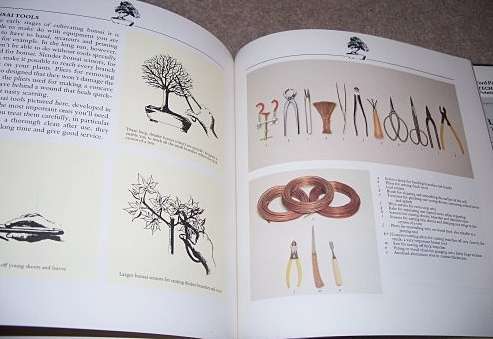 Bonsai - The Complete Guide to Art & Technique