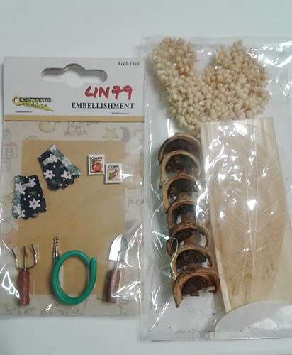 Scrapbooking Kit - Board, Paper, Stickers, Borders and Embellishments