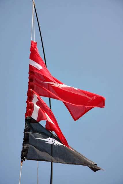 Tag and Release Flag Set