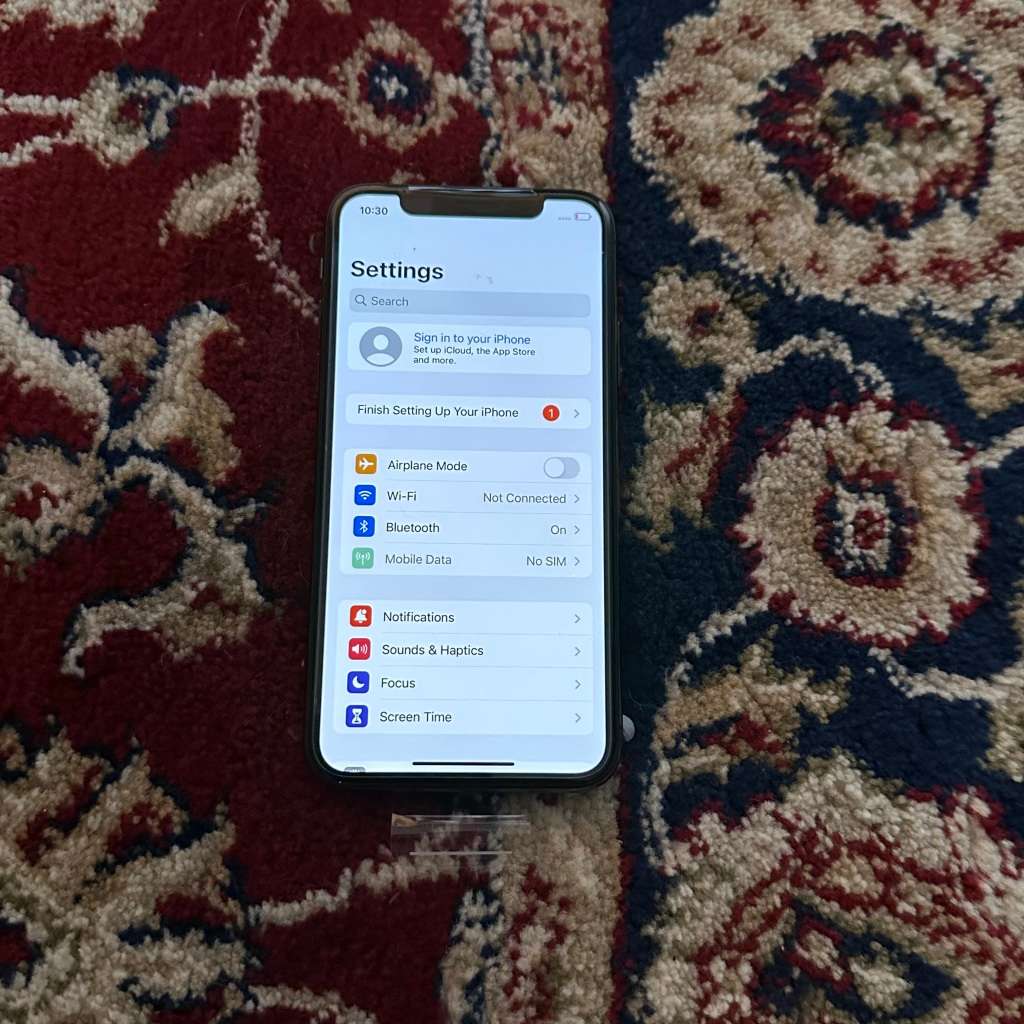 iPhone X 256GB