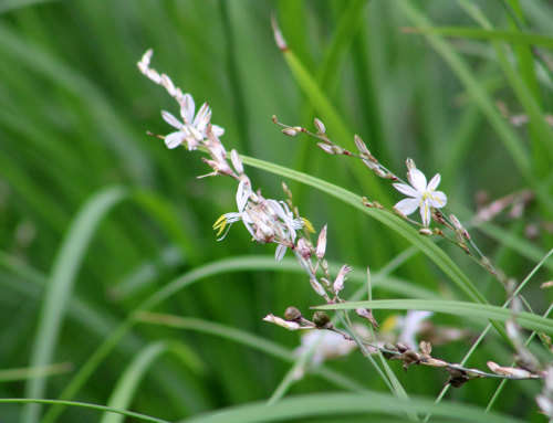 NGWENYA LODGE - 2 BEDROOM 6 SLEEPER 25-11-22 TO 28-11-22 (INCLUDING WEEKEND)