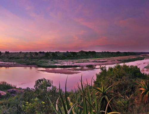 NGWENYA LODGE - 2 BEDROOM 6 SLEEPER 25-11-22 TO 28-11-22 (INCLUDING WEEKEND)