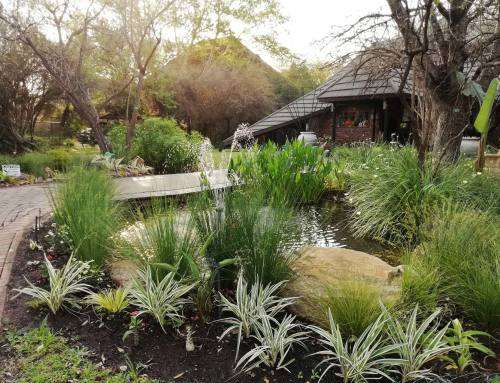 NGWENYA LODGE - 2 BEDROOM 6 SLEEPER 25-11-22 TO 28-11-22 (INCLUDING WEEKEND)