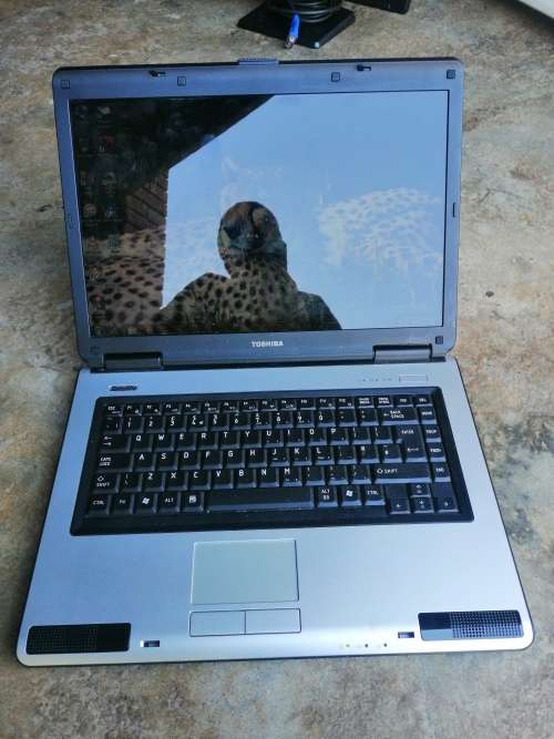 TOSHİBA LAPTOP, CELERON, 2GB, 160GB, 15 INCH SCREEN