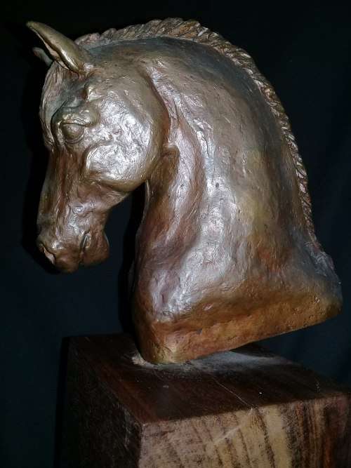 Solid Bronze Horse's Head Sculpture