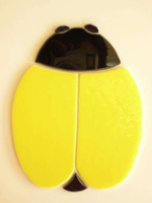 Mosaic Insert - Create your own .........